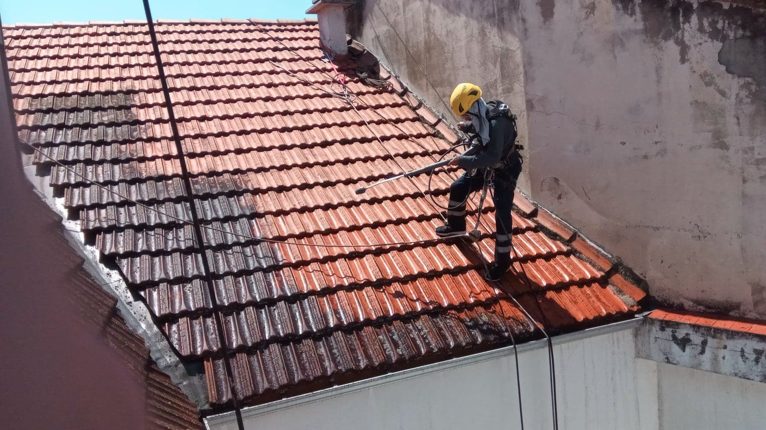 Nuestros trabajos